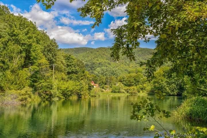 Apartmani Grza Paraćin Buitenkant foto