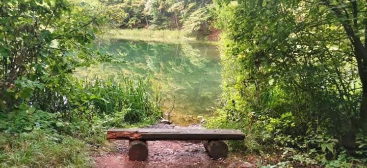 Apartmani Grza Paraćin Buitenkant foto