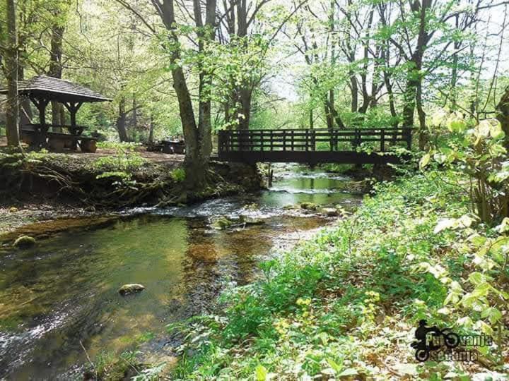 Apartmani Grza Paraćin Buitenkant foto