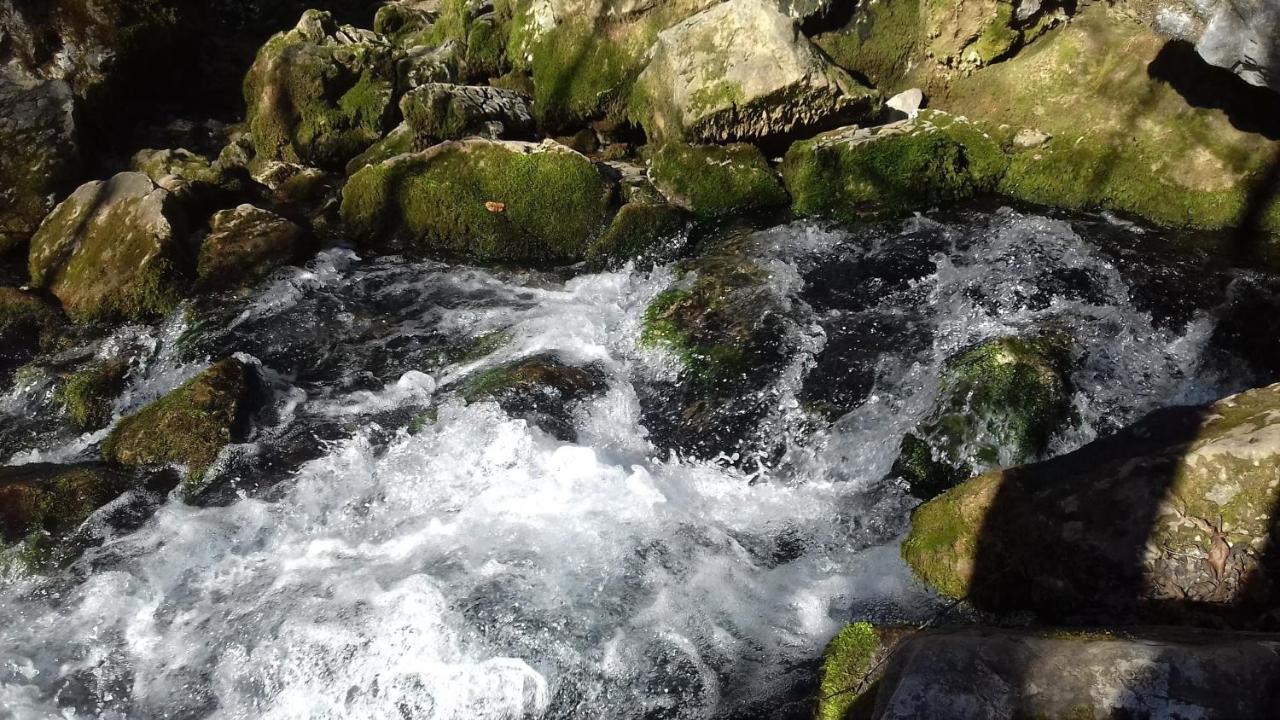 Apartmani Grza Paraćin Buitenkant foto