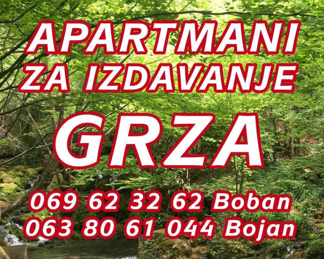 Apartmani Grza Paraćin Buitenkant foto