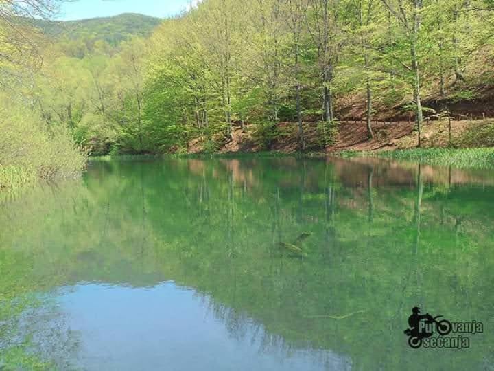 Apartmani Grza Paraćin Buitenkant foto