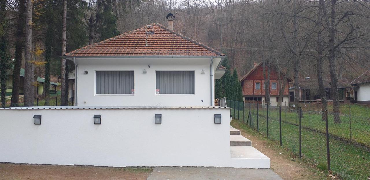 Apartmani Grza Paraćin Buitenkant foto