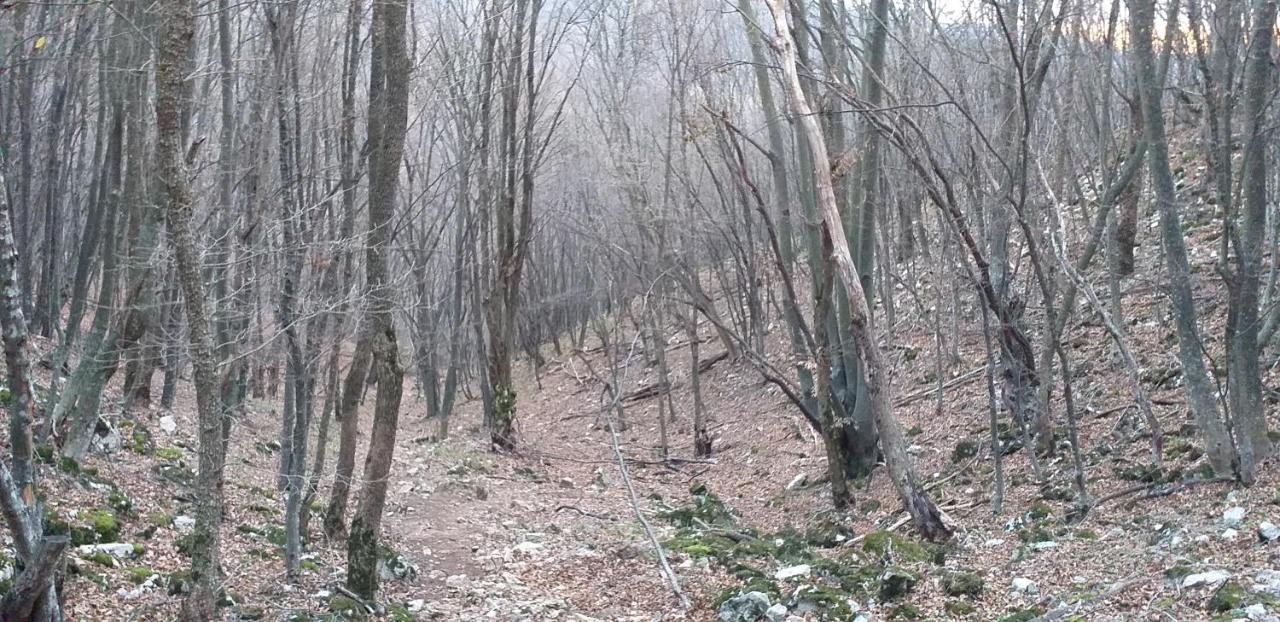 Apartmani Grza Paraćin Buitenkant foto