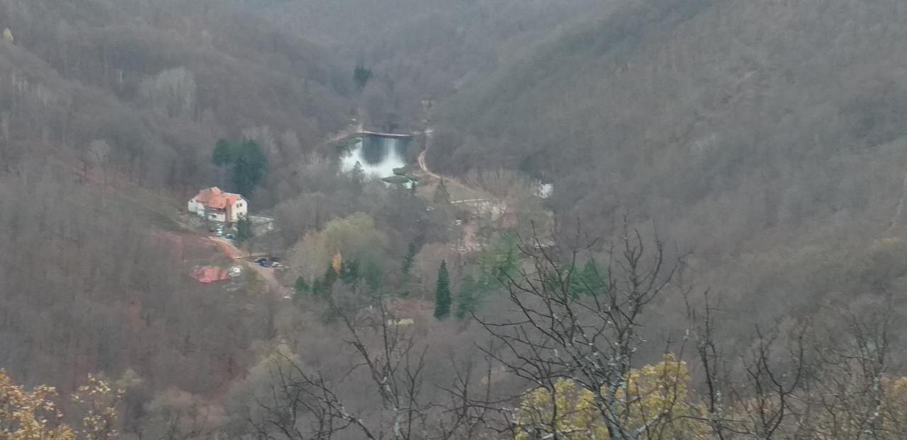 Apartmani Grza Paraćin Buitenkant foto