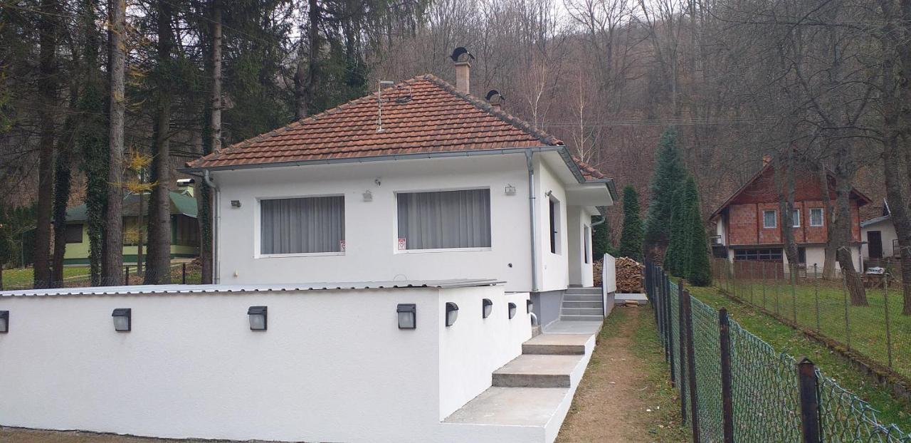 Apartmani Grza Paraćin Buitenkant foto
