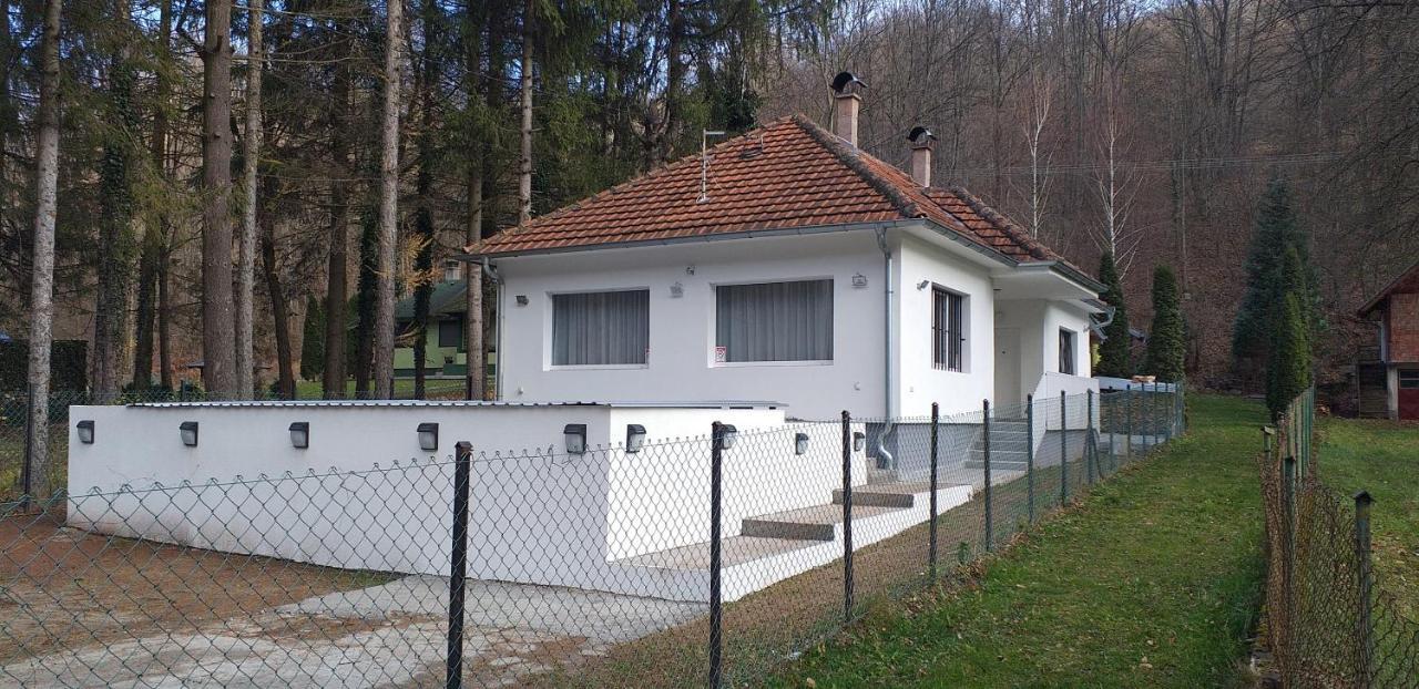 Apartmani Grza Paraćin Buitenkant foto
