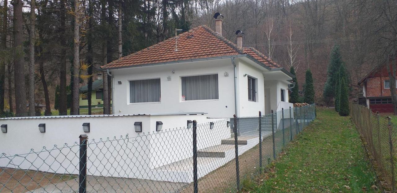 Apartmani Grza Paraćin Buitenkant foto