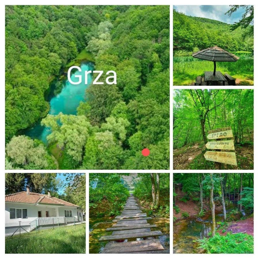 Apartmani Grza Paraćin Buitenkant foto