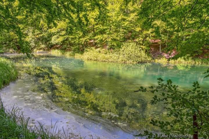 Apartmani Grza Paraćin Buitenkant foto