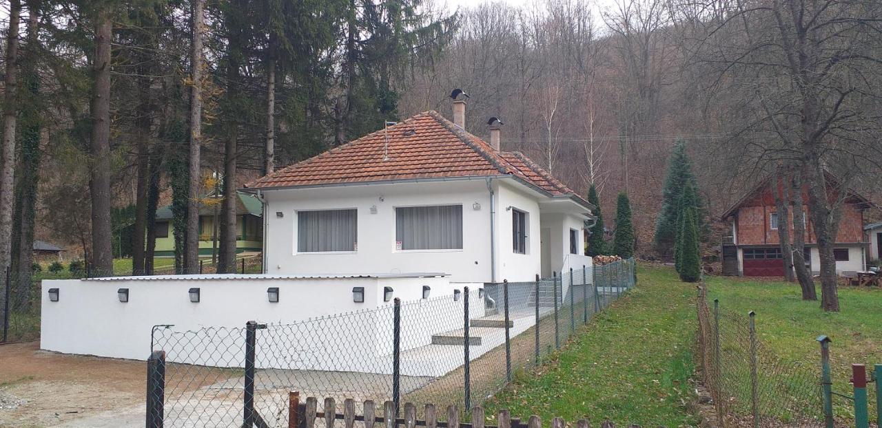 Apartmani Grza Paraćin Buitenkant foto